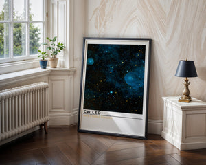 CW Leo Plakat - 21 x 29.7 cm (A4) - Nellastore