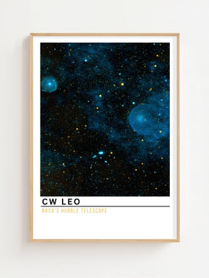 CW Leo Plakat - 21 x 29.7 cm (A4) - Nellastore