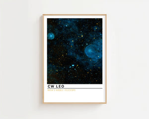 CW Leo Plakat - 21 x 29.7 cm (A4) - Nellastore