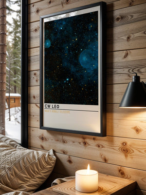 CW Leo Plakat - 21 x 29.7 cm (A4) - Nellastore