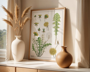 Dandelion Study Plakat - 21 x 29.7 cm (A4) - Nellastore