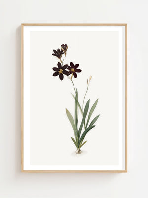 Dark Floral Stem Plakat - 21 x 29.7 cm (A4) - Nellastore