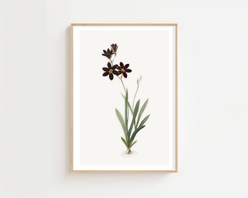 Dark Floral Stem Plakat - 21 x 29.7 cm (A4) - Nellastore