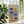 Dual Arc Column Plakat - 21 x 29.7 cm - Nellastore