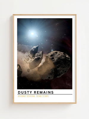 Dusty Remains Plakat - 21 x 29.7 cm (A4) - Nellastore