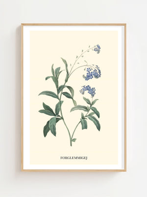 Forglemmigej Plakat - 21 x 29.7 cm (A4) - Nellastore