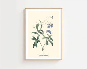 Forglemmigej Plakat - 21 x 29.7 cm (A4) - Nellastore