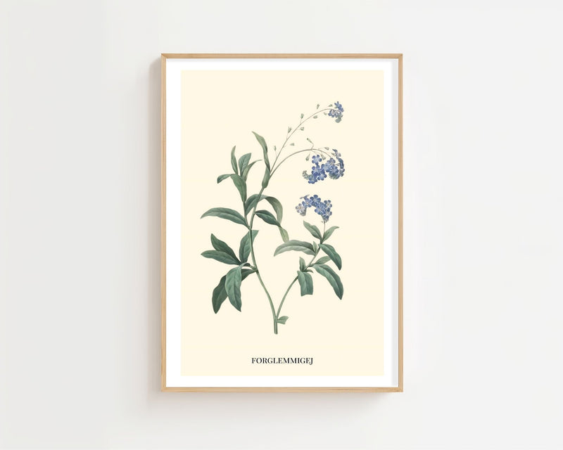 Forglemmigej Plakat - 21 x 29.7 cm (A4) - Nellastore