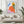 Golden Rest Matisse Plakat - 21 x 29.7 cm - Nellastore