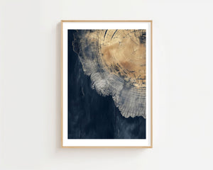Golden Tree Cross Section Plakat - 21 x 29.7 cm (A4) - Nellastore