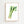 Green Celery Stems Plakat - 21 x 29.7 cm (A4) - Nellastore