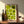 Green Plum Market Plakat - 21 x 29.7 cm - Nellastore