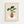Green Pot Statement Plakat - 21 x 29.7 cm - Nellastore