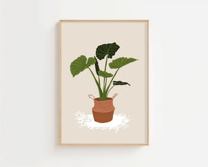 Green Pot Statement Plakat - 21 x 29.7 cm - Nellastore