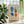 Henri Resting Figure Matisse Plakat - 21 x 29.7 cm - Nellastore