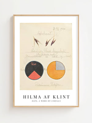Hilma af Klint - Botanical Study Oats Plakat - 21 x 29.7 cm (A4) - Nellastore