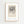 Hilma af Klint - Lille Lapp - Natti Illustration III Plakat - 21 x 29.7 cm (A4) - Nellastore