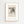 Hilma af Klint - Lille Lapp - Natti Illustration IV Plakat - 21 x 29.7 cm (A4) - Nellastore