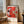 Hilma Af Klint - Red Curves Plakat - 21 x 29.7 cm (A4) - Nellastore