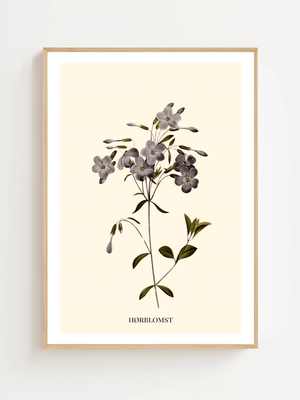 Hørblomst Plakat - 21 x 29.7 cm (A4) - Nellastore