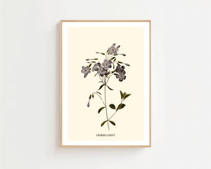 Hørblomst Plakat - 21 x 29.7 cm (A4) - Nellastore