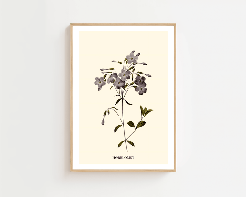 Hørblomst Plakat - 21 x 29.7 cm (A4) - Nellastore