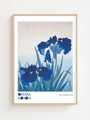 Iris Flowers Plakat - 21 x 29.7 cm (A4) - Nellastore