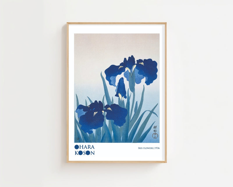 Iris Flowers Plakat - 21 x 29.7 cm (A4) - Nellastore