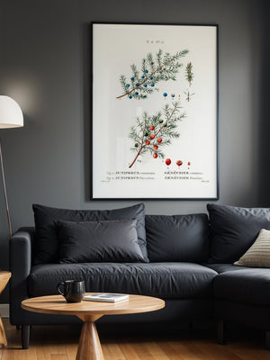 Juniper Botanical Plakat - 21 x 29.7 cm (A4) - Nellastore