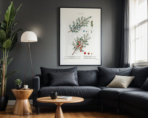 Juniper Botanical Plakat - 21 x 29.7 cm (A4) - Nellastore