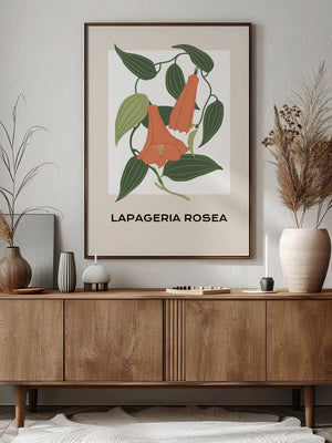 Lapageria Rosea Botanical Plakat - 21 x 29.7 cm - Nellastore