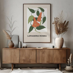 Lapageria Rosea Botanical Plakat - 21 x 29.7 cm - Nellastore