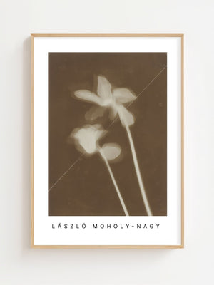 László Moholy - Nagy - Alpenveilchen Plakat - 21 x 29.7 cm - Nellastore