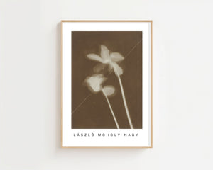 László Moholy - Nagy - Alpenveilchen Plakat - 21 x 29.7 cm - Nellastore