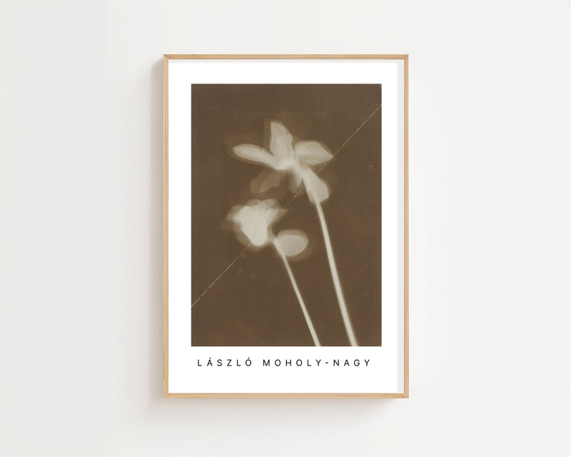 László Moholy - Nagy - Alpenveilchen Plakat - 21 x 29.7 cm - Nellastore
