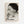 László Moholy - Nagy - Lucia Moholy Side Profile Plakat - 21 x 29.7 cm - Nellastore