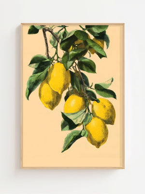 Lemon Branch Plakat - 21 x 29.7 cm (A4) - Nellastore