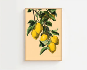 Lemon Branch Plakat - 21 x 29.7 cm (A4) - Nellastore