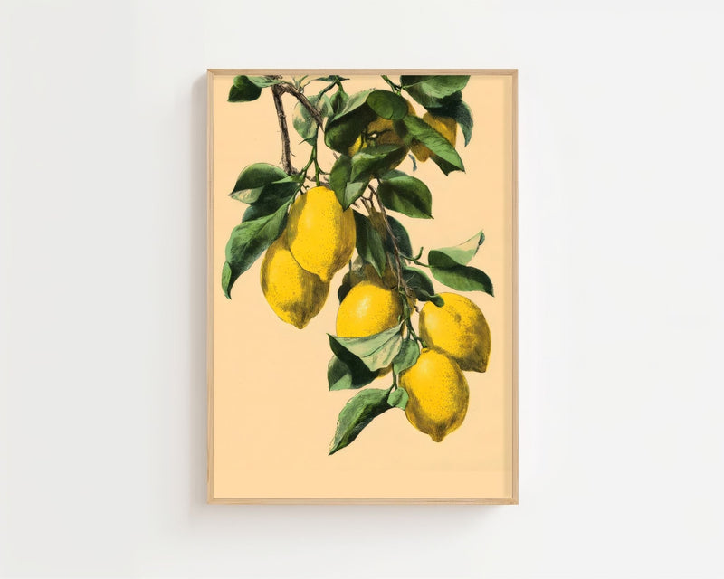 Lemon Branch Plakat - 21 x 29.7 cm (A4) - Nellastore