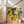 Lemon Branch Plakat - 21 x 29.7 cm (A4) - Nellastore