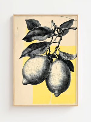 Lemon Sketch Plakat - 21 x 29.7 cm (A4) - Nellastore