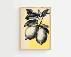 Lemon Sketch Plakat - 21 x 29.7 cm (A4) - Nellastore