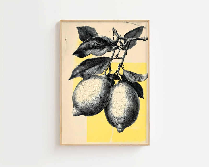 Lemon Sketch Plakat - 21 x 29.7 cm (A4) - Nellastore