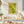 Lime Zest Collection Plakat - 21 x 29.7 cm - Nellastore