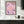 Little Life Wine Plakat - 21 x 29.7 cm - Nellastore