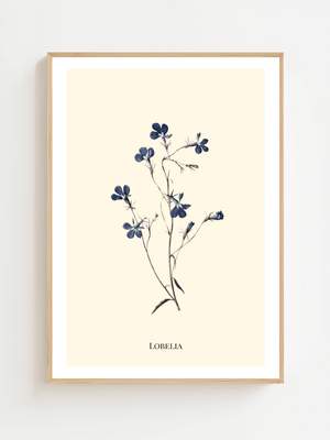 Lobelia Plakat - 21 x 29.7 cm (A4) - Nellastore