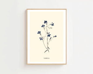 Lobelia Plakat - 21 x 29.7 cm (A4) - Nellastore