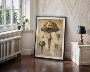 Mushroom Anatomy Plakat - 21 x 29.7 cm (A4) - Nellastore