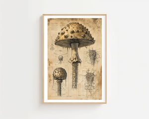 Mushroom Anatomy Plakat - 21 x 29.7 cm (A4) - Nellastore