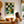 Olive Oil Still Life Plakat - 21 x 29.7 cm - Nellastore